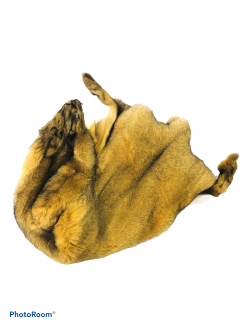 Gold Dyed Blue Fox Fur - SL Fur & Leather