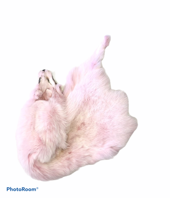 Pink Dyed Blue Fox Fur - SL Fur & Leather