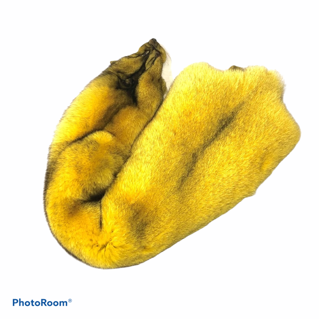 Yellow Dyed Blue Fox Fur - SL Fur & Leather