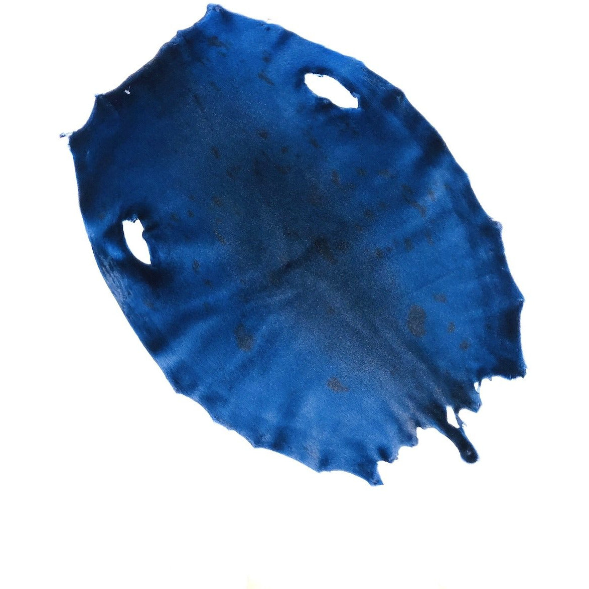 Electric Blue Dyed Seal Skins - SL Fur & Leather