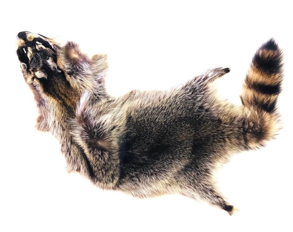 Raccoon Fur - SL Fur & Leather