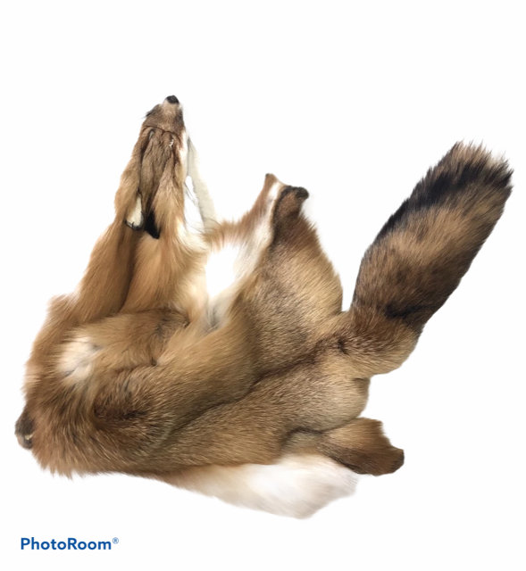Ranch Red Fox Fur - SL Fur & Leather