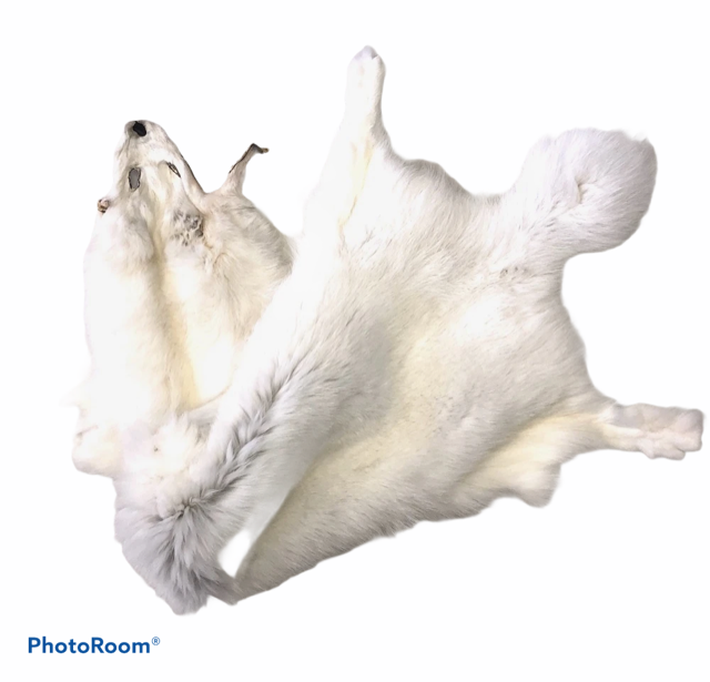 Shadow Fox Fur - SL Fur & Leather
