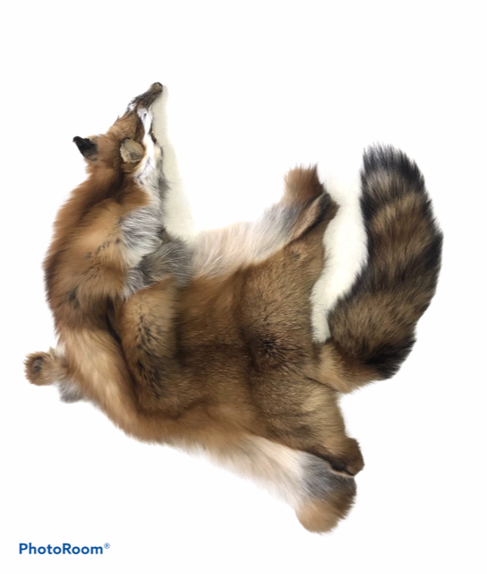 Wild Red Fox Fur - SL Fur & Leather