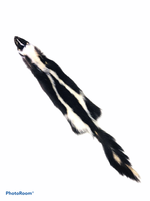 Skunk Fur - SL Fur & Leather