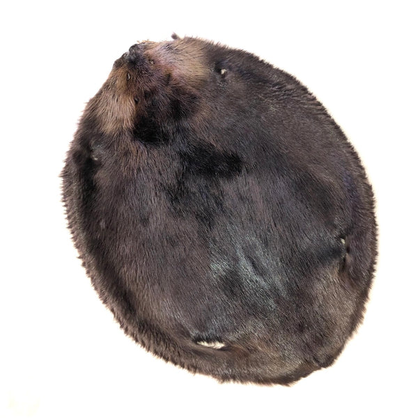Authentic Beaver Beaver Fur Pelt - SL Fur & Leather