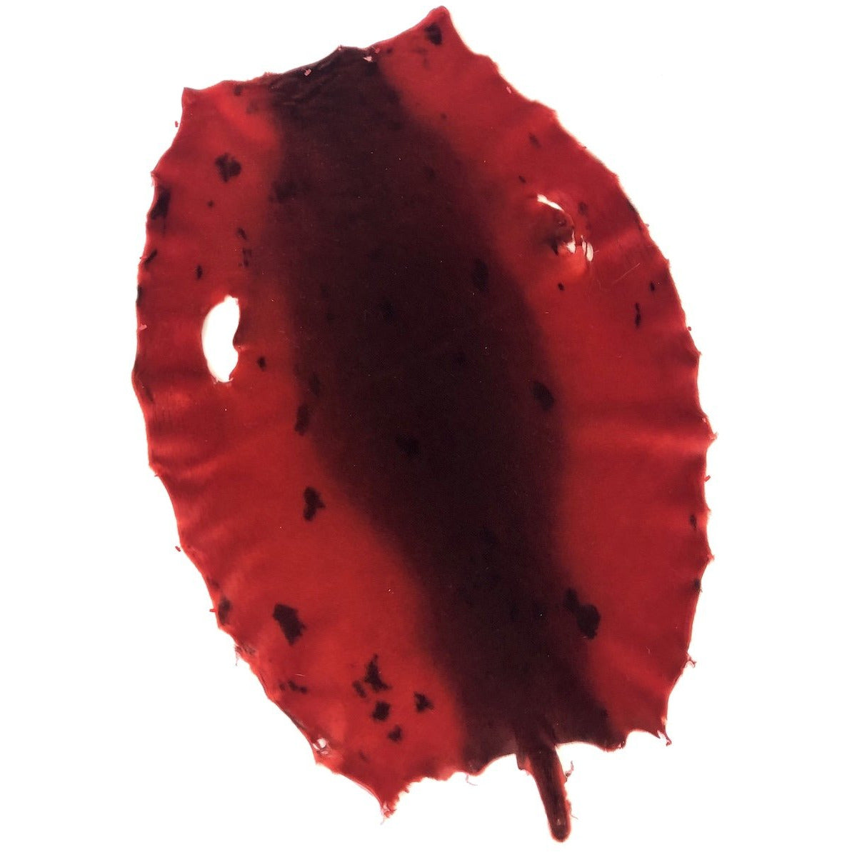 Red Dyed Seal Skins - SL Fur & Leather