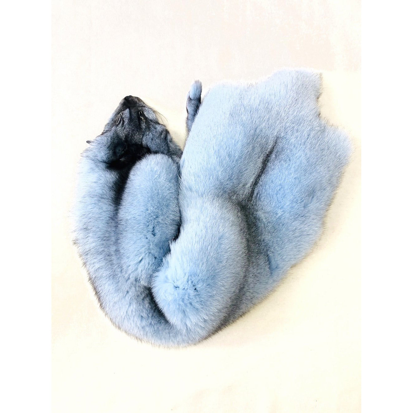 Sky Blue Dyed Blue Fox Fur - SL Fur & Leather
